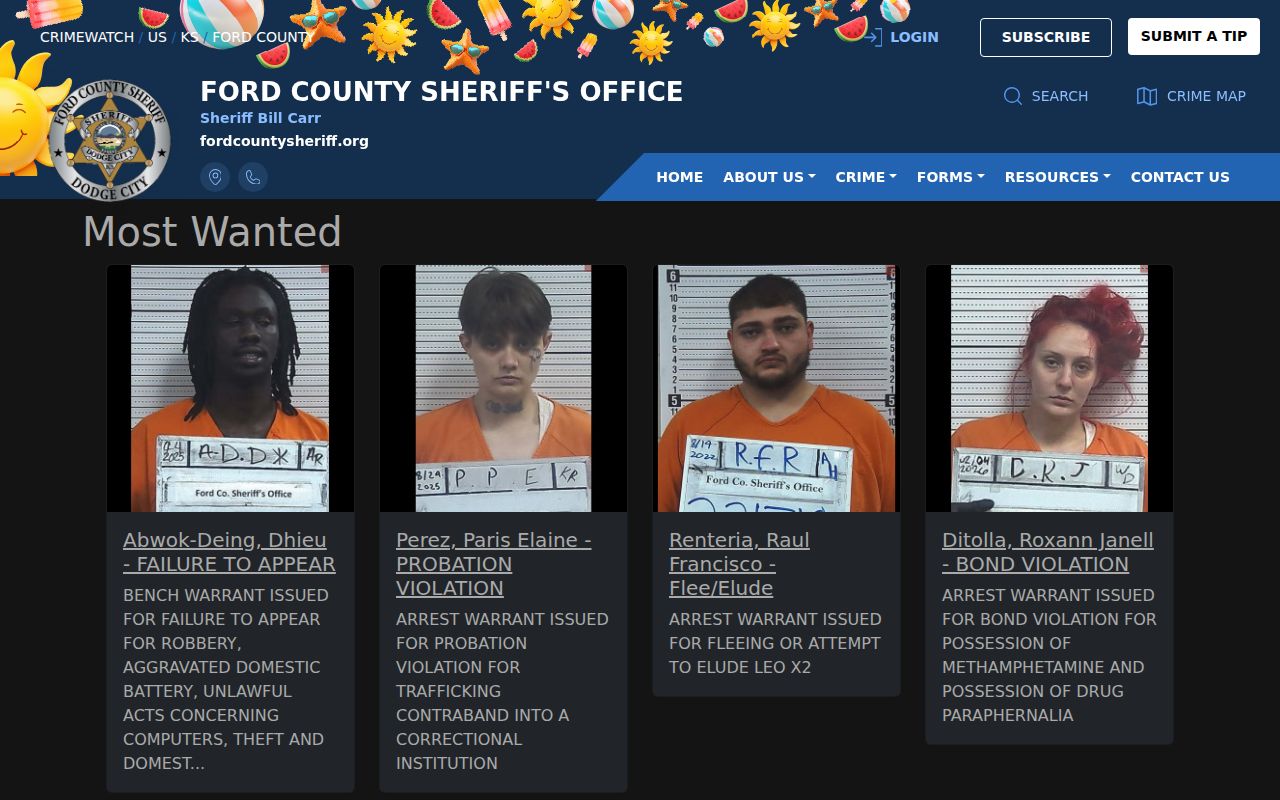 Ford County Sheriff official most wanted record interface