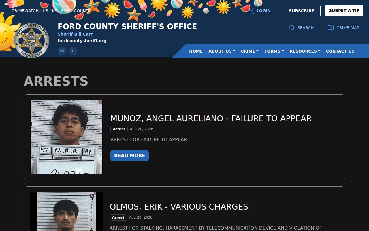 Ford County Sheriff recent arrest feed